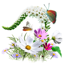 Flowers - Wildflowers icon
